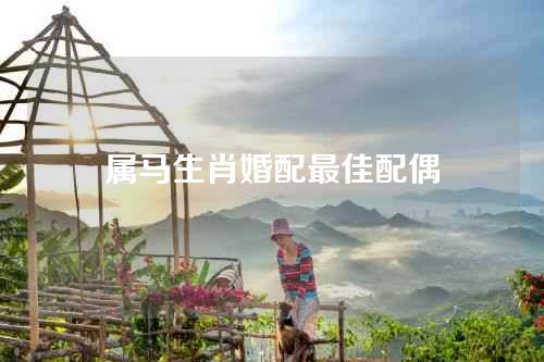 属马生肖婚配最佳配偶