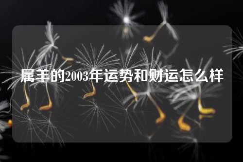 属羊的2003年运势和财运怎么样